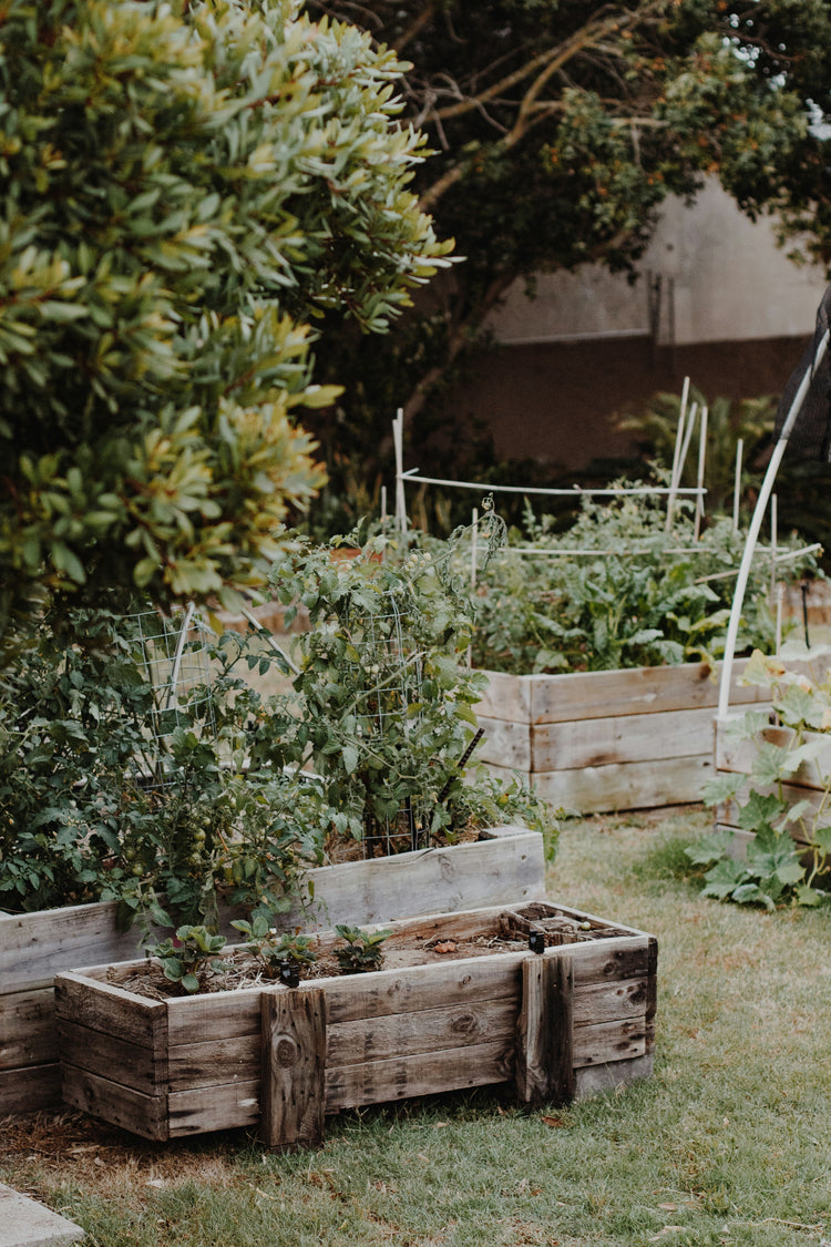 Tuin & Doe het zelf